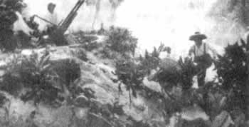 中国人民解放军取得西沙自卫反击战胜利（转自：todayonhistory.com）