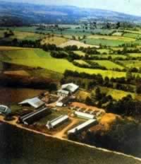 我国与法国建立外交关系