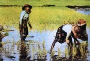 缅甸独立日（历史上的今天。中國）