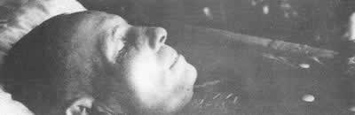 德国陆军元帅隆美尔被迫自杀