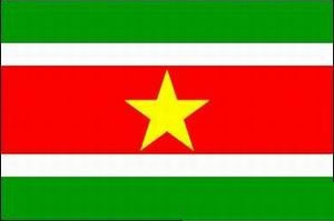 苏里南共和国宣告独立