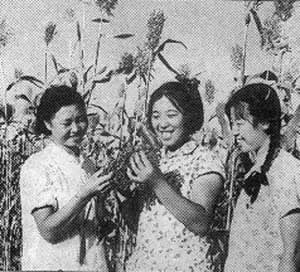 毛泽东发号召　2000万知识青年上山下乡