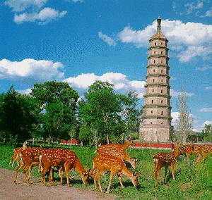 我国公布首批历史文化名城(历史上的今天。中國)