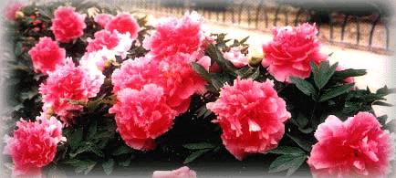 我国公布首批历史文化名城(历史上的今天。中國)