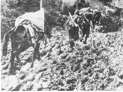 希腊军队向轴心国投降