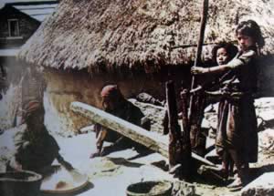 我国与巴基斯坦建立外交关系