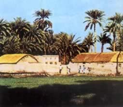 我国与巴基斯坦建立外交关系