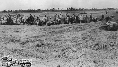 大跃进运动放出第一颗亩产卫星