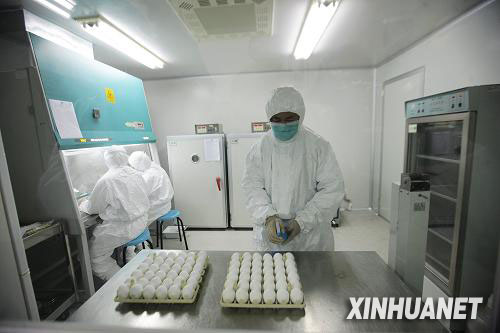 北京科兴公司正式启动甲型H1N1流感疫苗批量生产