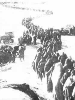 斯大林格勒大会战图片集