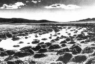 红军第一、第四方面军开始穿越草地(Todayonhistory.com)