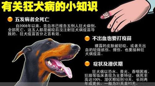 2007年世界卫生组织等组织设立首个“世界狂犬病日”